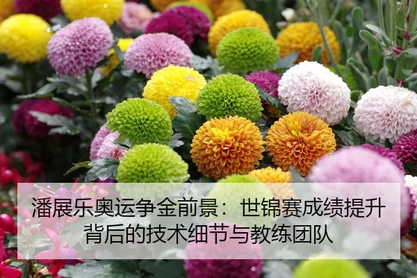 潘展乐奥运争金前景：世锦赛成绩提升背后的技术细节与教练团队