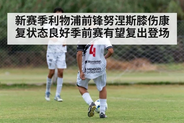 新赛季利物浦前锋努涅斯膝伤康复状态良好季前赛有望复出登场